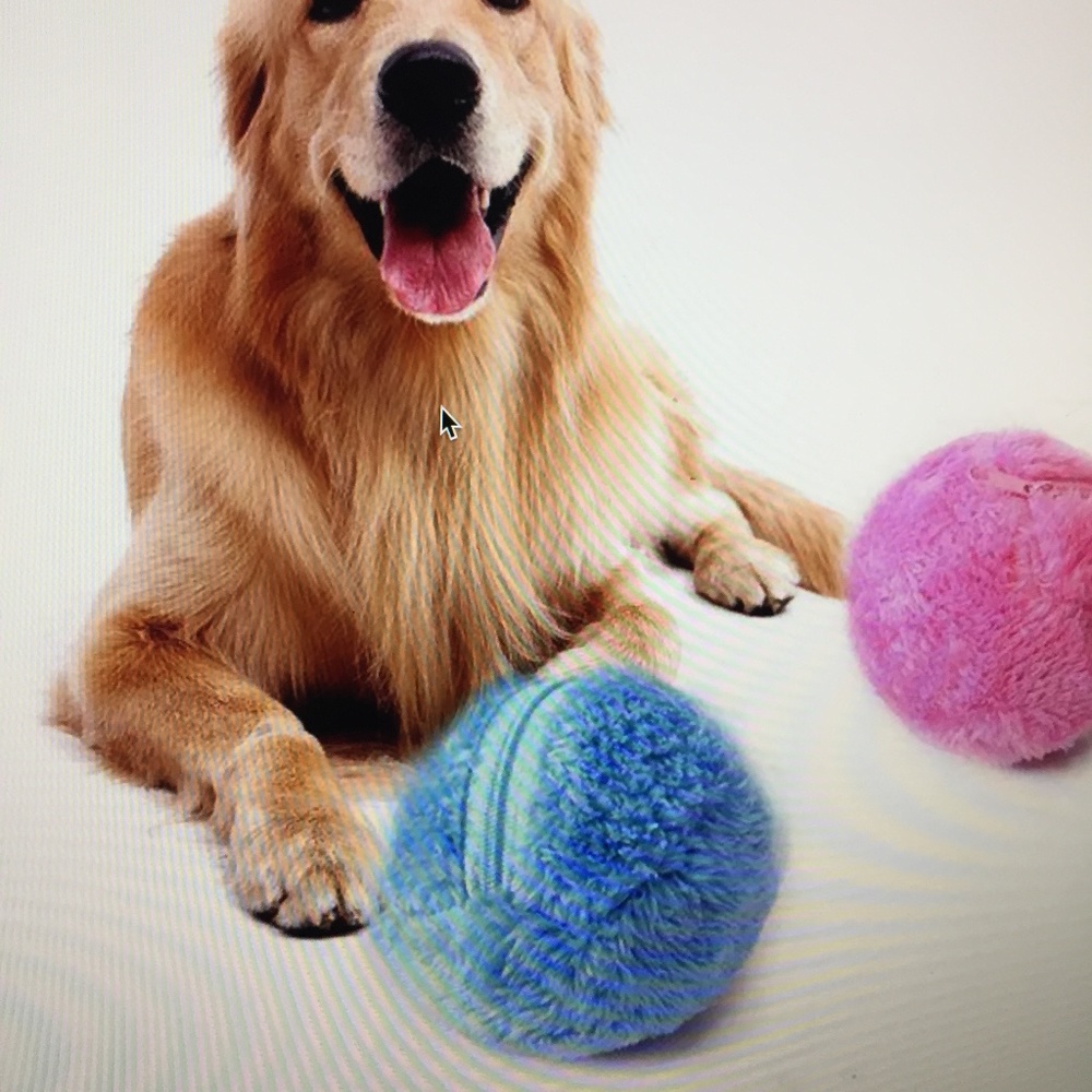 Magic Roller Ball - Dog Toy